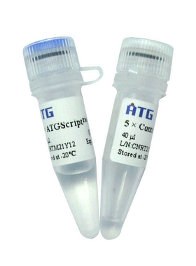 ATG:逆转录系列：R103:  ATGScript® RT mix for qPCR
