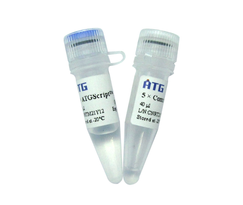 ATG:逆转录系列：R103:  ATGScript® RT mix for qPCR