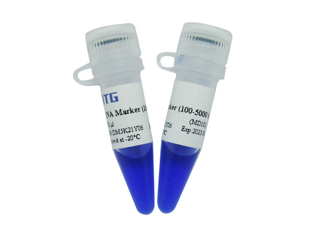 ATG:DM101: 5kb DNA Marker （7条条带）,工业油品/胶粘/化学/实验室用品,试剂,淘宝优惠券,粉丝福利购,淘宝优惠卷
