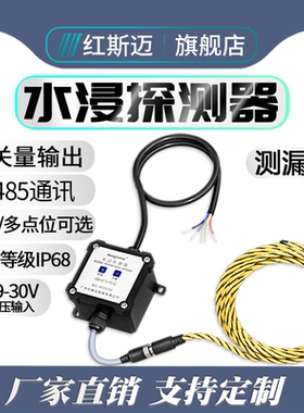 红斯迈水浸传感器RS485漏水探测器开关量水浸变送器机房基站优选