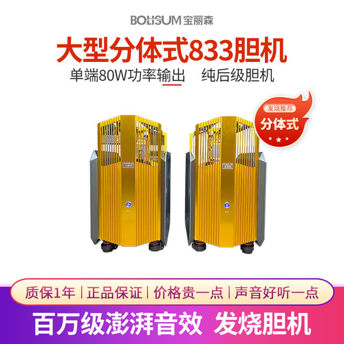宝丽森833分体式纯后级胆机