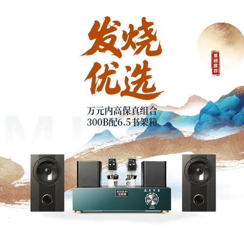 300B解码胆机+T6Meta同轴书架箱