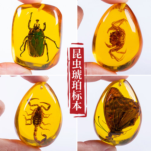 琥珀昆虫标本真虫项链