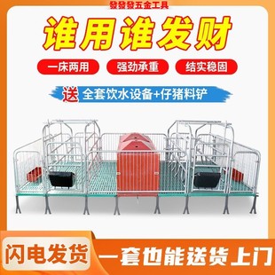 国标热镀锌加厚双体猪用产保两用一体母猪产床全套一整套猪用安装