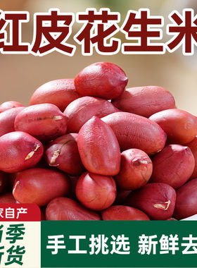 2025新红皮花生米生东北农家新鲜晒干花生原味不带壳四粒红衣花生
