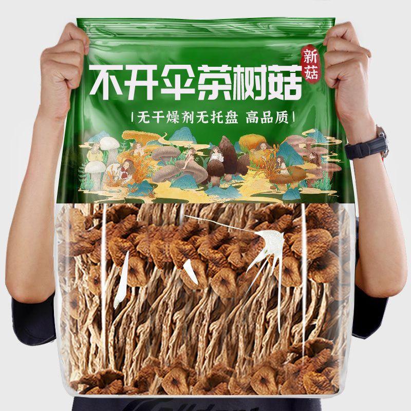 古田不开伞茶树菇批发农家特产