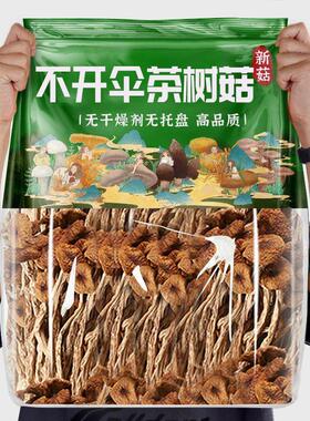 【净重无干燥剂】不开伞茶树菇干货古田农家新鲜菌菇煲汤商用批发