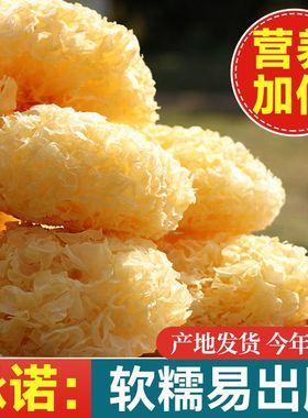 【净重】古田银耳干货特产不熏硫新鲜白木耳雪耳大花银耳产地批发
