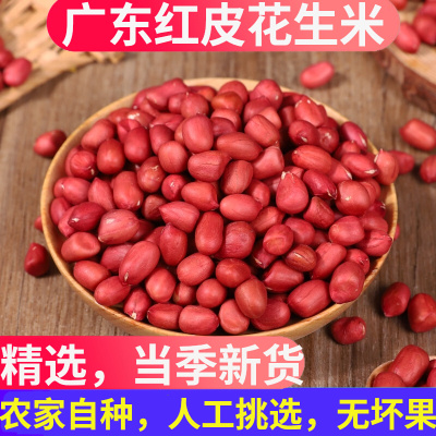 精选花生米无壳红皮花生四粒