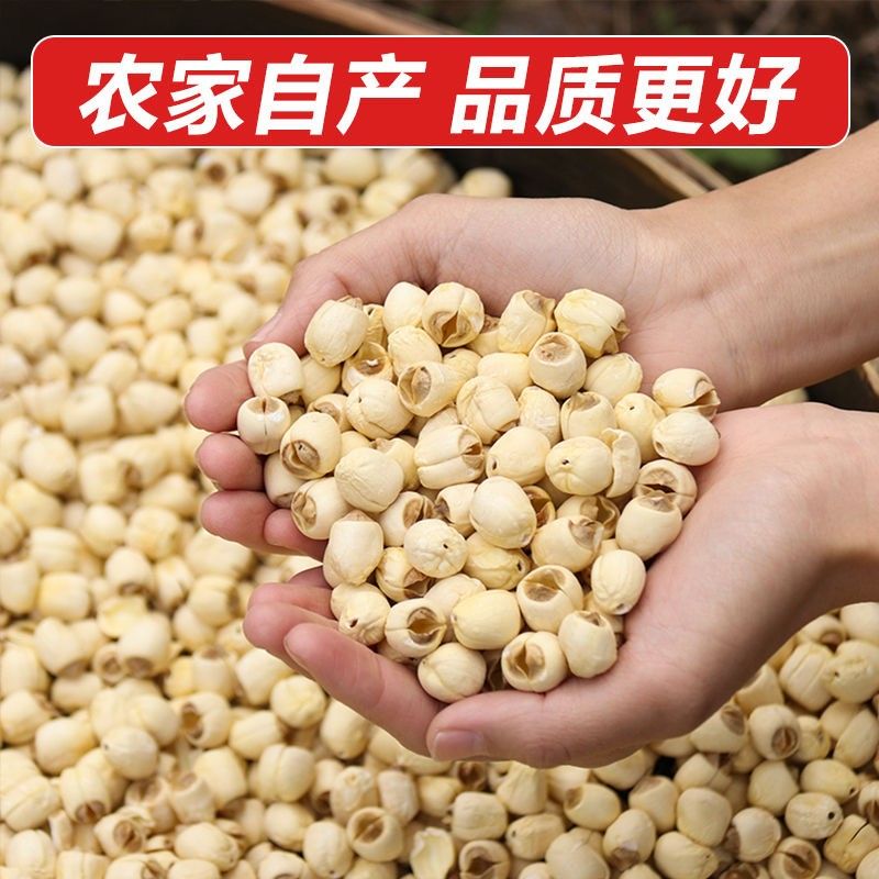 建宁莲子新货手工无硫通心白莲子去皮去芯白莲子干货袋装批发商用