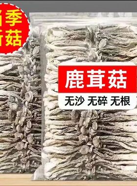【无干燥剂】甄选鹿茸菇干货净重炖汤食材脆脆菇鹿茸菌菇无干燥剂