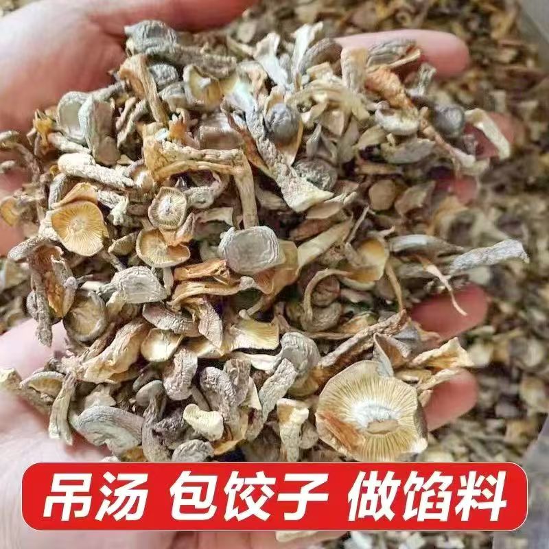 新货鹿茸菇碎干货脆脆菇碎菇煲汤做馅炖炒烧包子混沌馅料食材商用