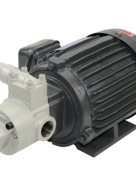 新款台湾品质志观同款 润滑油泵 TK-1510 6S 可调压润滑油泵T包邮