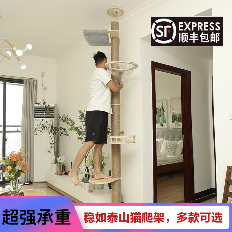 通天柱猫爬架不占地猫窝猫树一体猫抓柱顶天立地猫架猫屋麻绳实木