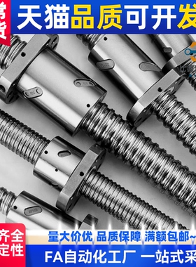 BSBR1505 BSBRK2005 BSSR2005L/G-L200 500 850-P10 滚珠丝杠