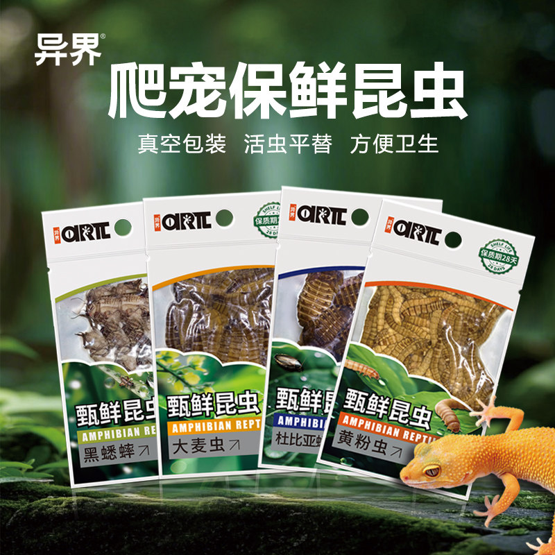 爬虫蜥蜴保鲜昆虫爬宠黄粉虫大麦虫杜比亚蟋蟀守宫睫角龙饲料蛙鱼