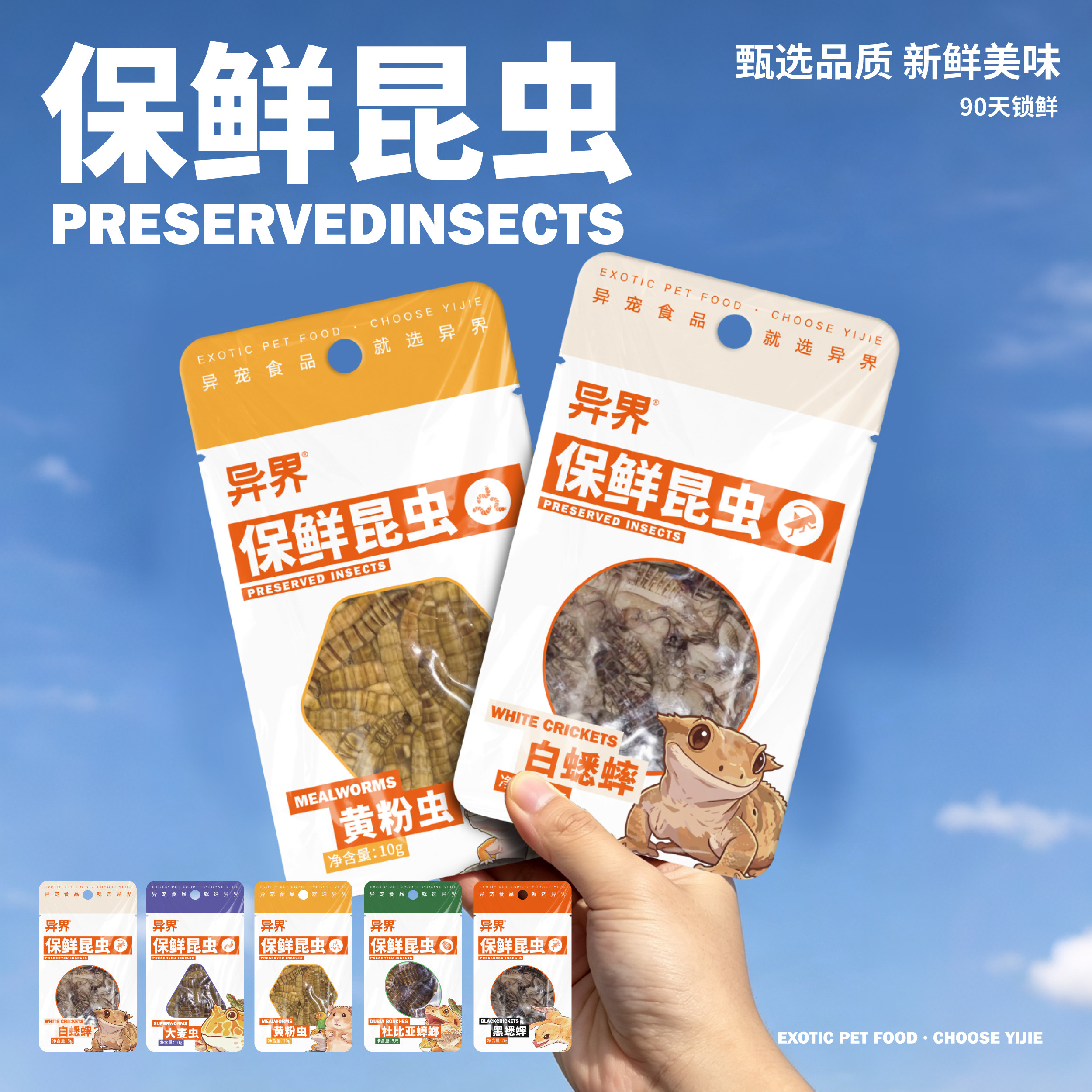 爬虫蜥蜴保鲜昆虫爬宠黄粉虫大麦虫杜比亚蟋蟀守宫睫角龙饲料蛙鱼