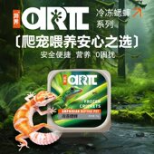 异界顺丰 冻蟋蟀鲜油葫芦爬宠树蛙守宫蜥蜴鬃狮饲料保鲜直发 包邮