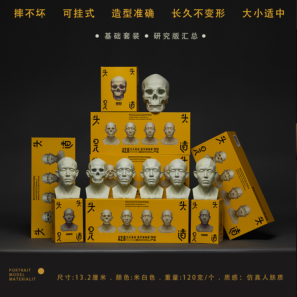头头是道头像教具2.0写生美术素描石膏像肌肉树脂静物摆件模型