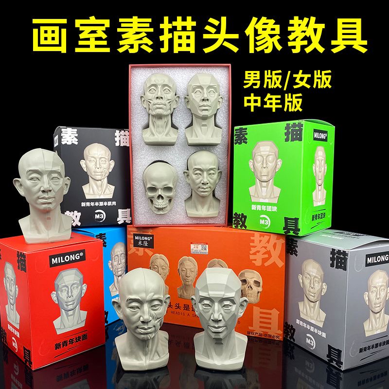头头是道素描头像教具米隆石膏像美术生素描模型静物头骨艺术摆件
