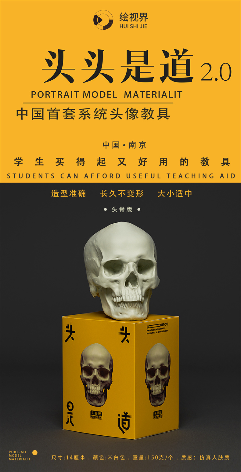 头头是道2.0美术教具中国首套系统头像教具 头骨版 树脂摆件美术