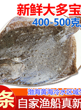 多宝鱼新鲜活冷冻比目鱼鲽鱼海鲜水产鸦片鱼海鱼菱鲆鱼整条顺丰