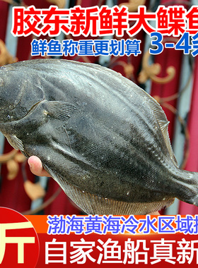 新鲜片口鲽鱼4斤多宝鱼鲜活比目鱼花岗鱼菱鲆鱼海鱼冷冻海鲜水产