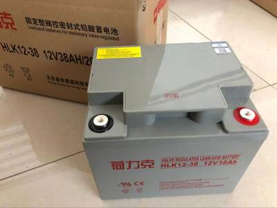 议价12V38AH荷力克蓄电池直流屏电瓶现货