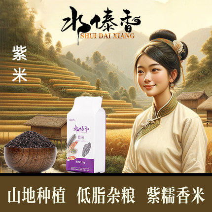 云南水傣香西双版纳紫米寿司米糯米高山种植营养杂粮2斤真空袋装