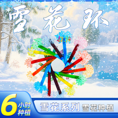 结晶物理化学小实验探询美丽结晶