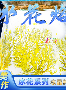 探询冰花烙水晶种植自然生长烙印结晶极美趣味科学物理小实验套装