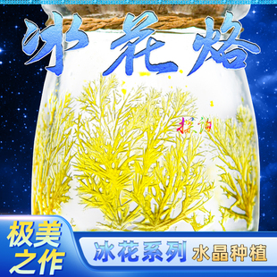 探询冰花烙水晶种植自然生长烙印结晶极美趣味科学物理小实验套装