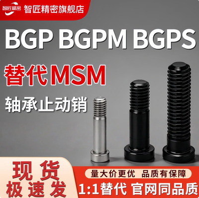 轴承止动销BGP/BGPM/BGPS系列