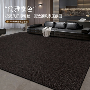 客厅地毯防水防污黑色高级感沙发茶几免洗耐脏地垫满铺卧室床边毯