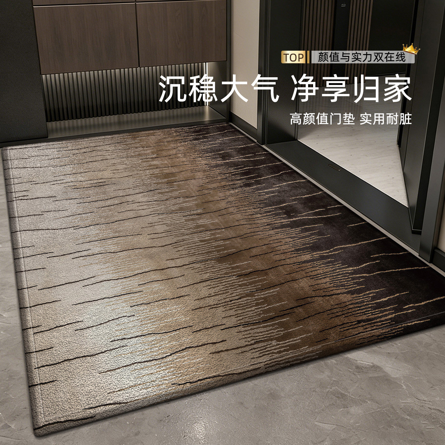 入户门地垫高级感玄关室内耐脏免洗脚垫好打理进门门口加厚防滑垫