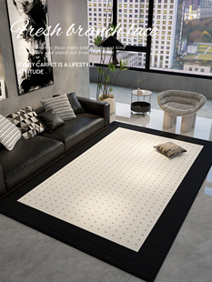 地毯客厅2025新款免洗可擦家用卧室床边毯轻奢高级感沙发地垫防滑