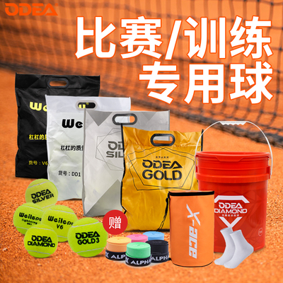 网球成人专业训练球GOLD