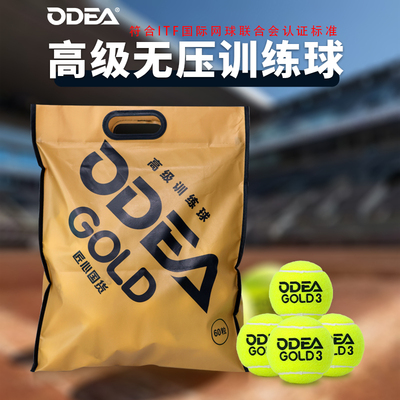 欧帝尔高弹耐打训练网球60粒