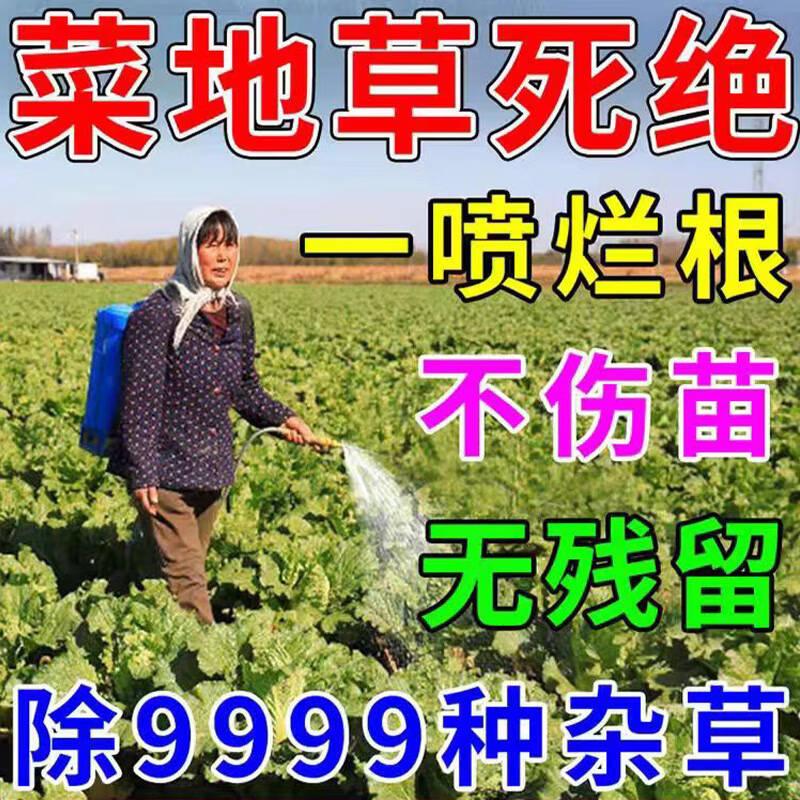 蔬菜苗前苗后不伤菜除草剂青菜豆角萝卜番茄大葱青菜辣椒除草烂根