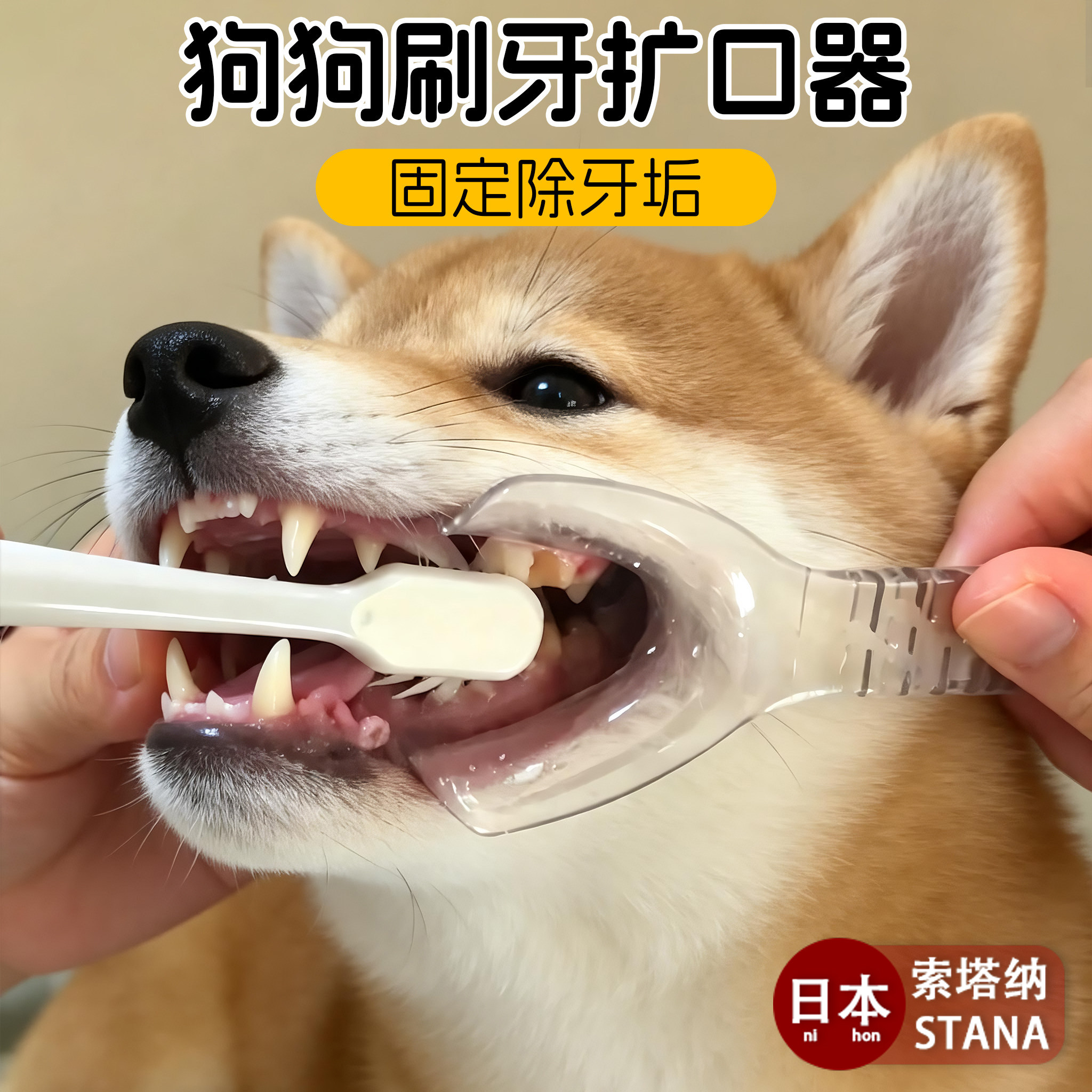 日本狗狗刷牙辅助开口器侧方拉钩