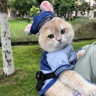 宠物衣服疯狂动物城朱迪警官cos服狗狗猫咪装扮秋冬可爱拍照道具