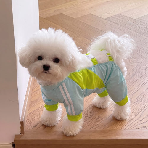 清新好看又防脏！小型犬防尘裤！