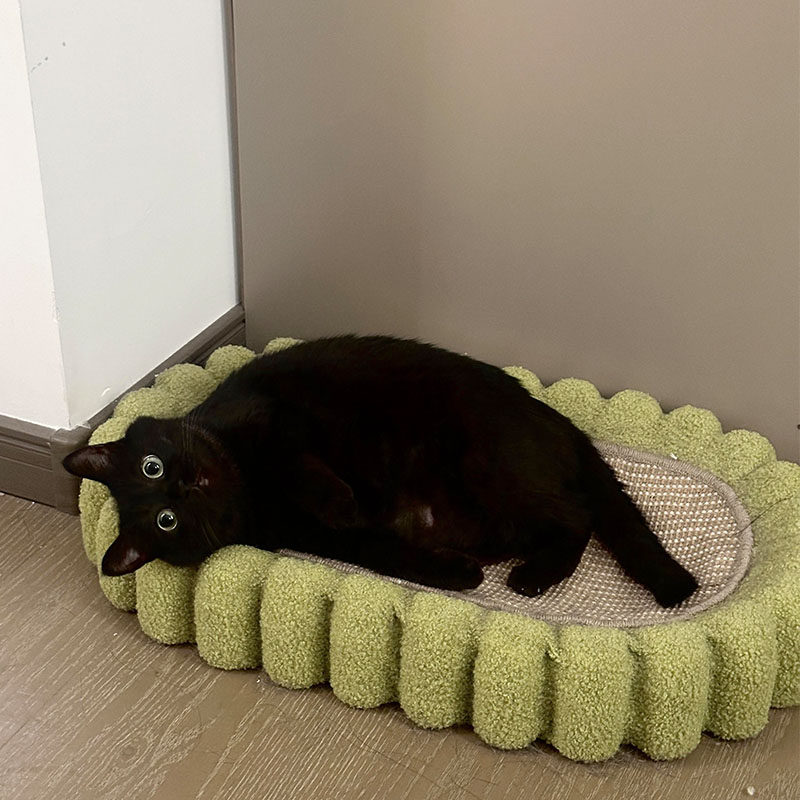 猫窝四季通用剑麻猫抓板一体耐磨不掉屑猫咪磨爪宠物玩具夏天猫床,宠物/宠物食品及用品,猫窝/屋/帐篷/沙发,淘宝优惠券,粉丝福利购,淘宝优惠卷