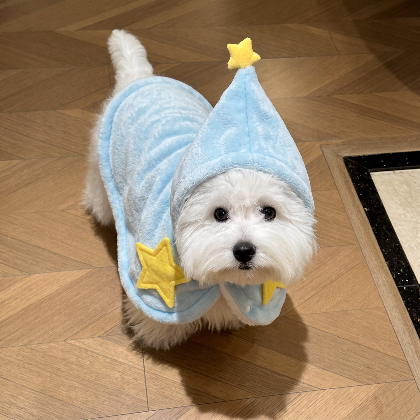 可爱星星斗篷狗狗衣服冬装宠物秋季披风小型犬比熊加厚睡袍毯子