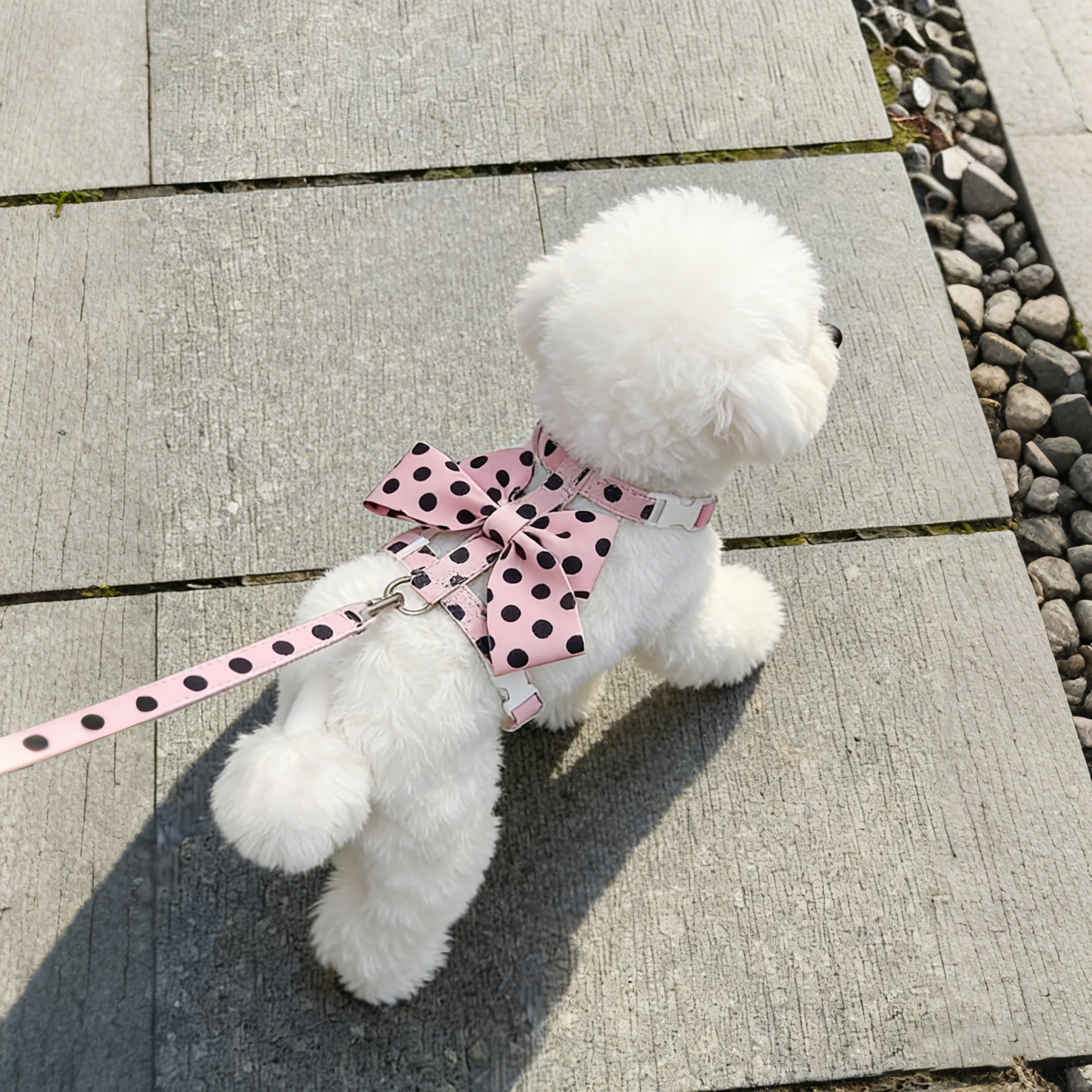 蝴蝶结狗狗牵引绳小型犬胸背猫咪外出宠物背心式遛狗绳子比熊泰迪