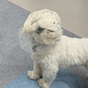 狗嘴套防乱吃小型犬比熊泰迪狗狗专用嘴罩防咬防舔口罩防误食网套