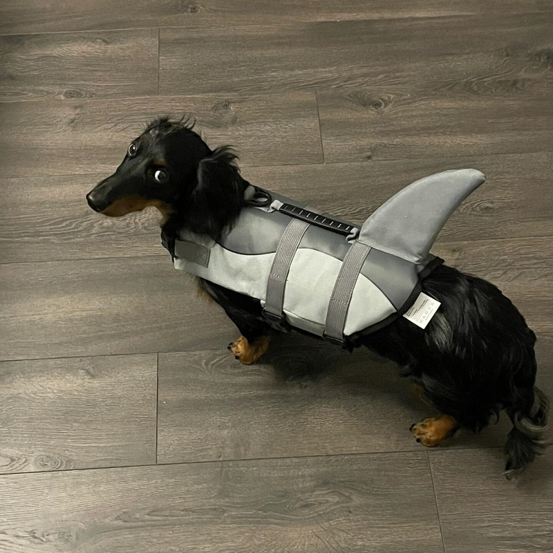 鲸鱼狗狗泳衣救生衣夏季浮力浮力