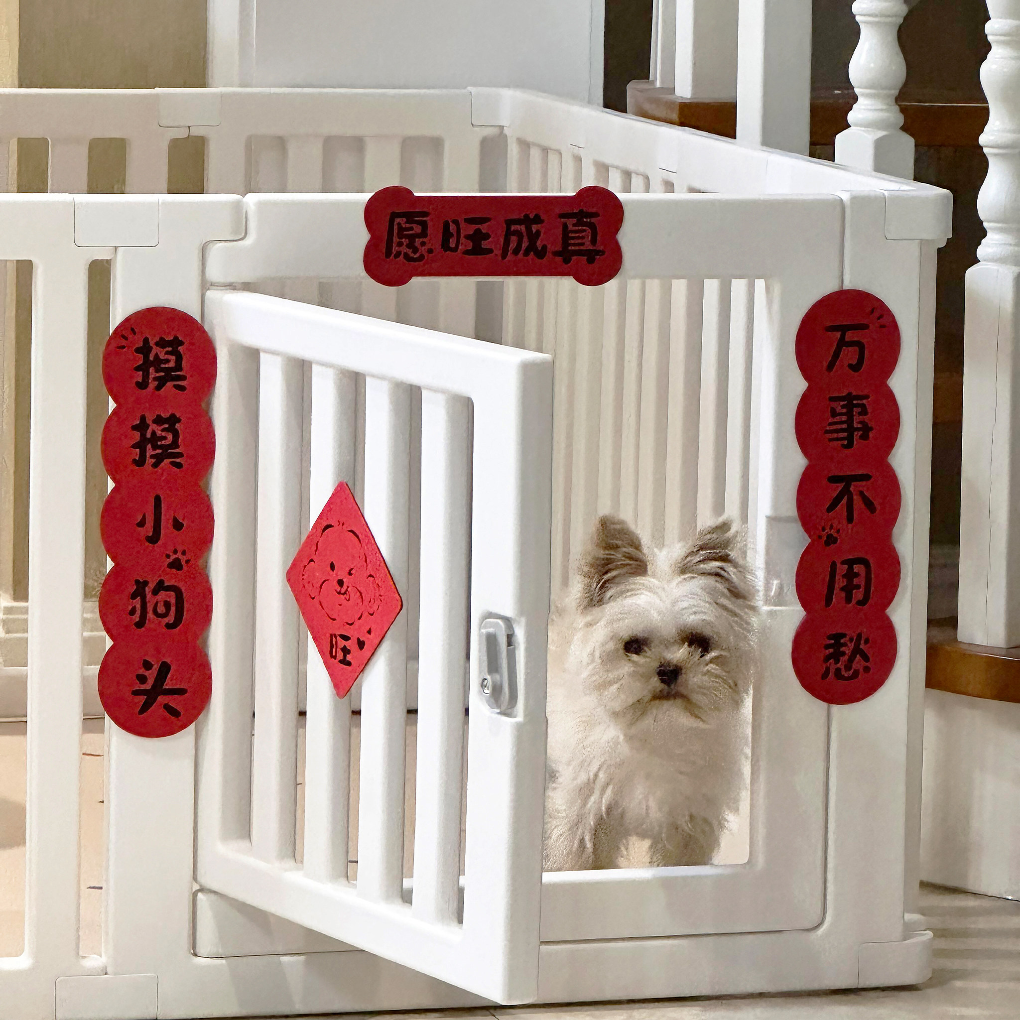 宠物对联春联2026年新款猫窝狗屋新年装饰门贴红色喜庆过年仪式感,节庆用品/礼品,对联,淘宝优惠券,粉丝福利购,淘宝优惠卷
