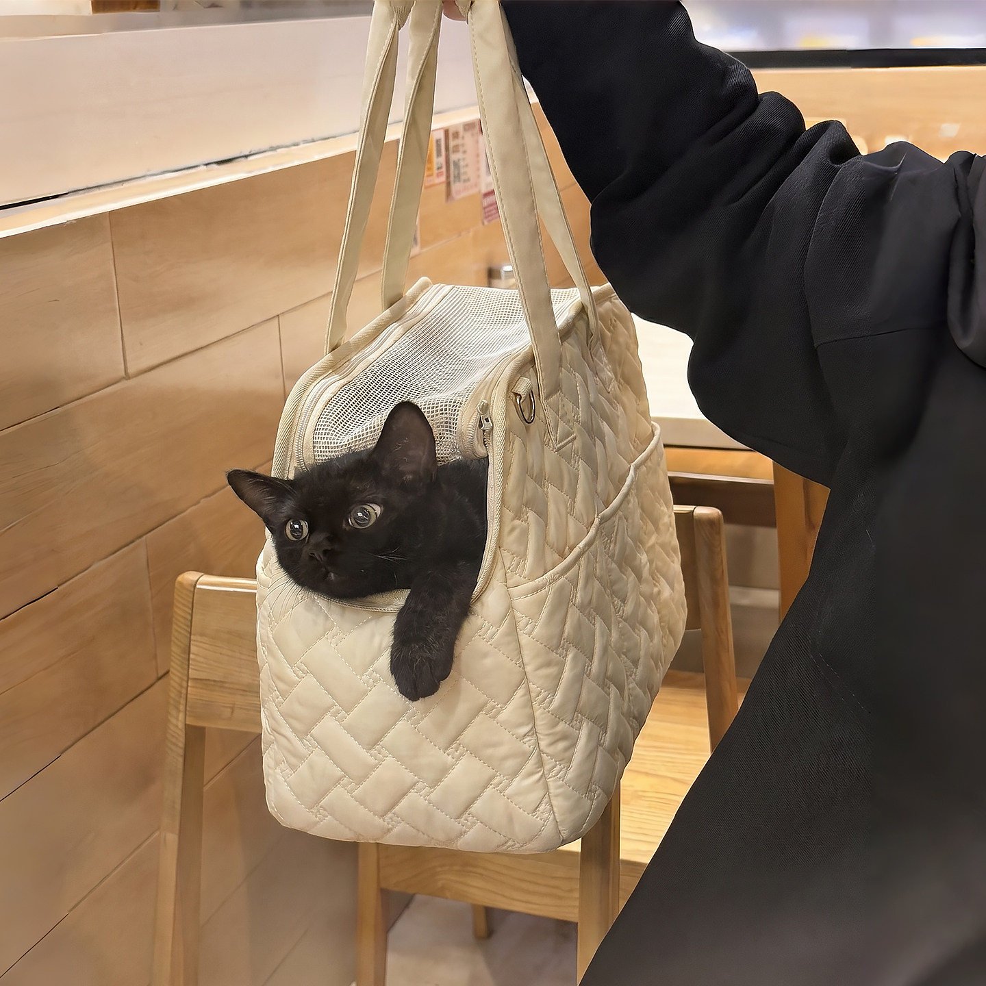 遛猫神器!猫包外出便携宠物外出包小型犬狗包大容量小狗猫咪背包