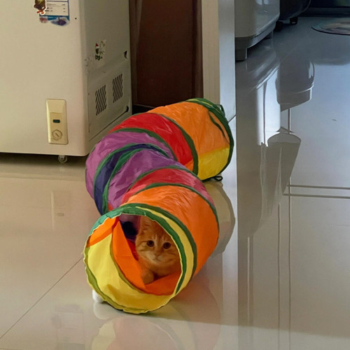 猫咪彩虹隧道布偶猫迷宫钻洞玩具